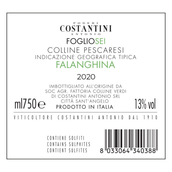 Falanghina IGT 2023 - Linea Fogliosei - immagine 2