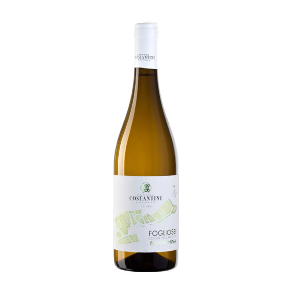 Falanghina IGT 2023 - Linea Fogliosei